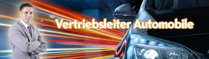 Vertriebsleiter/-in Automobile